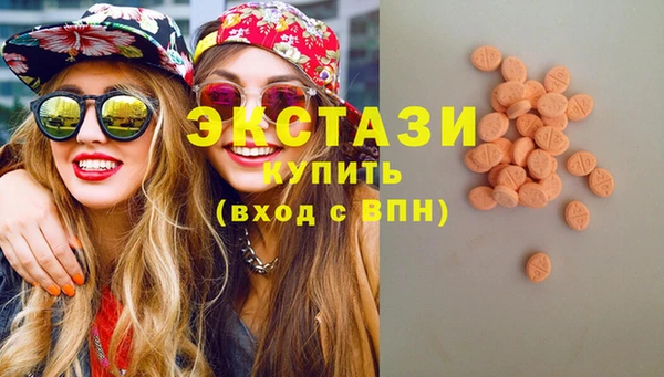 СК Алексин