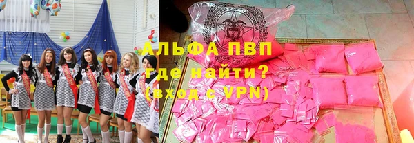 СК Алексин