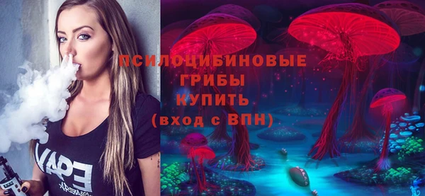 СК Алексин